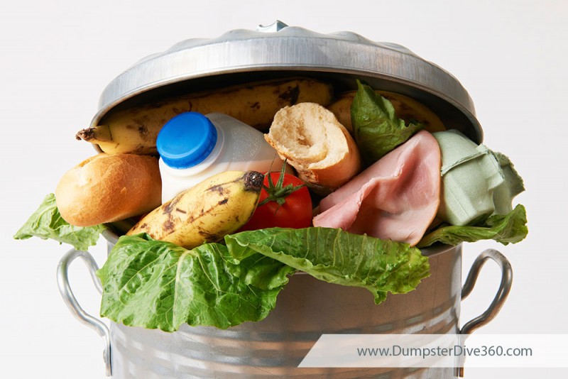 Be a Food Waste Warrior | DumpsterDive360.com